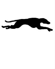 greyhound_template_run.jpg